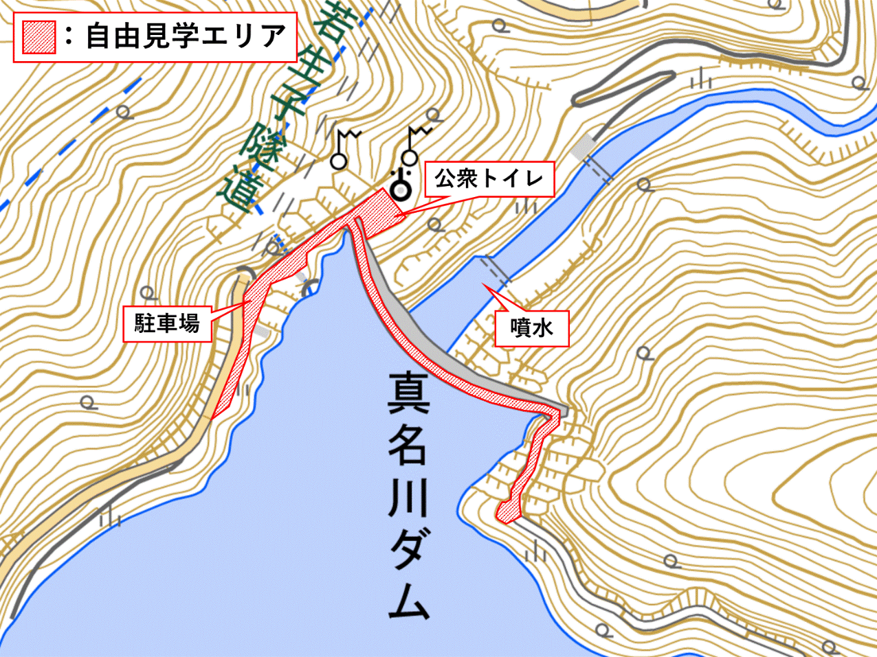 自由見学エリア図