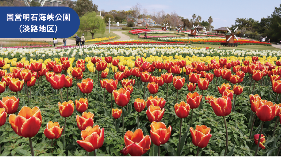 国営明石海峡公園(淡路地区)