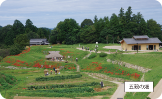 国営飛鳥歴史公園