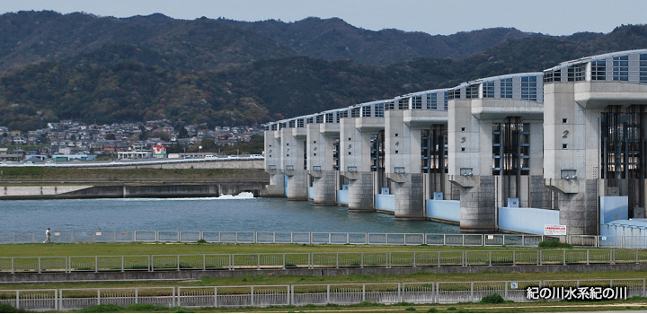 紀の川水系