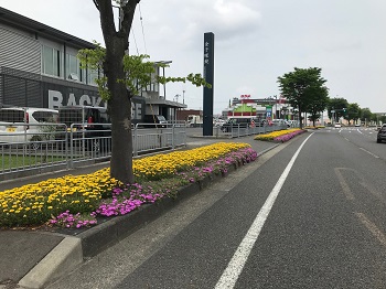 鯖江まち美化隊