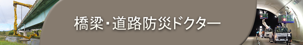 橋梁・道路防災ドクター