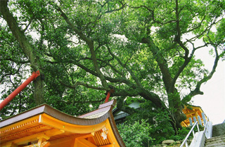 小島住吉明神社