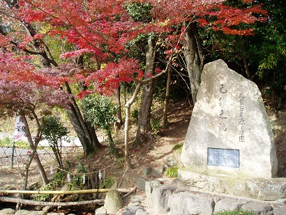 池の画像