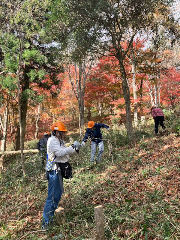 �����̗l�q(�ʐ^)