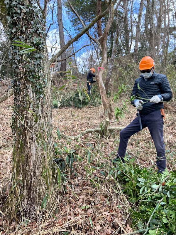 �����̗l�q(�ʐ^)