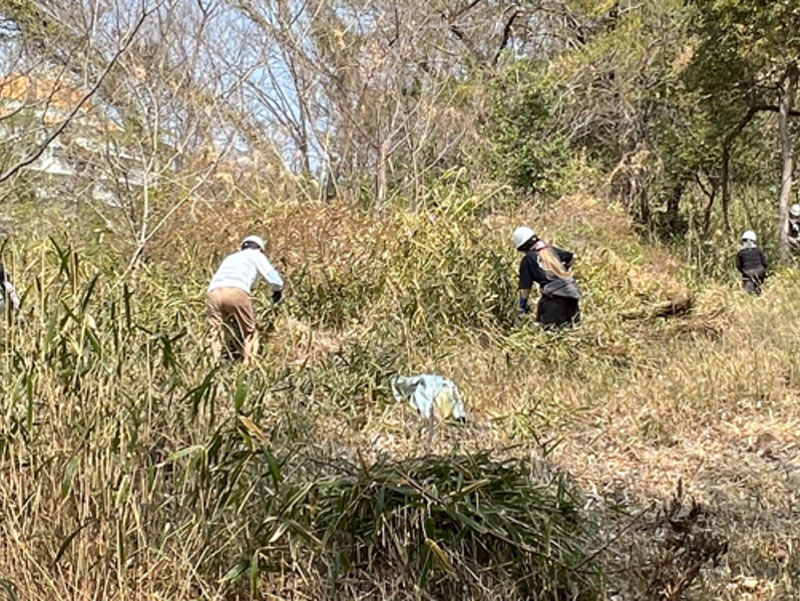 �����̗l�q(�ʐ^)