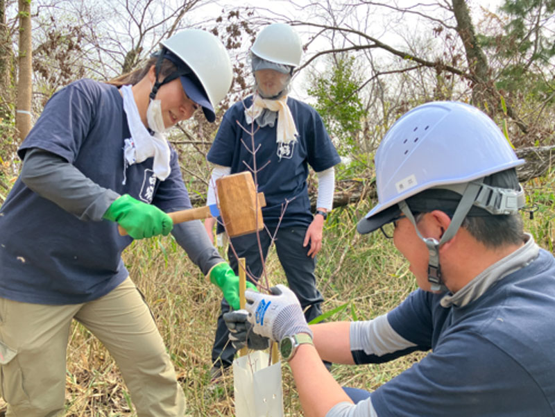 �����̗l�q(�ʐ^)