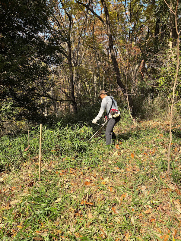 �����̗l�q(�ʐ^)