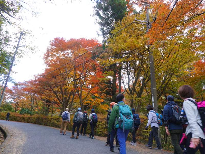 �����̗l�q(�ʐ^)