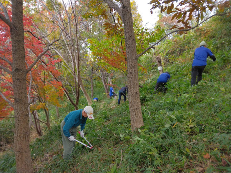 �����̗l�q(�ʐ^)