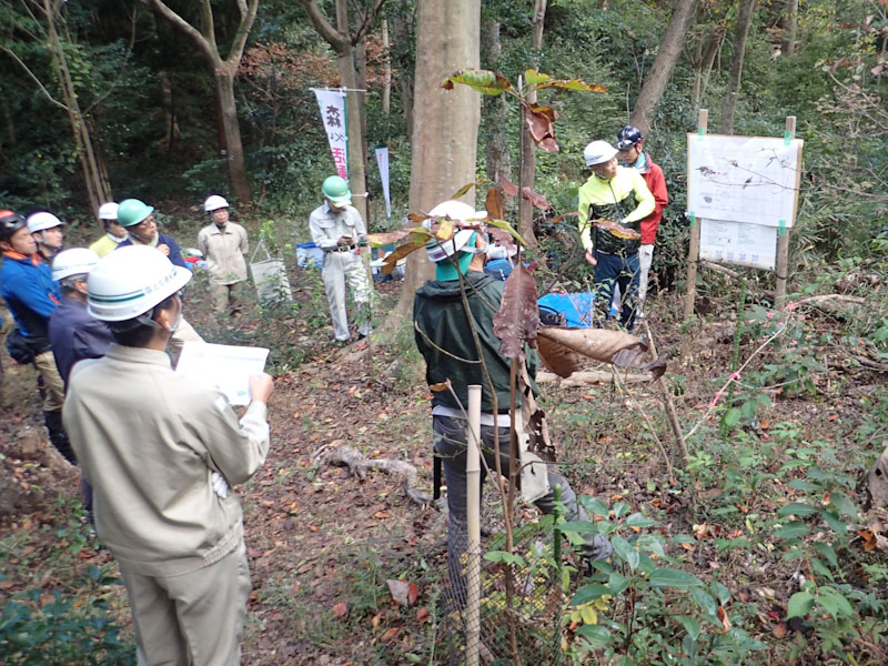 �����̗l�q(�ʐ^)