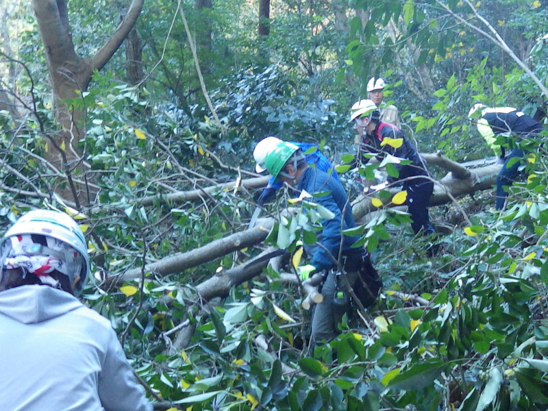 �����̗l�q(�ʐ^)