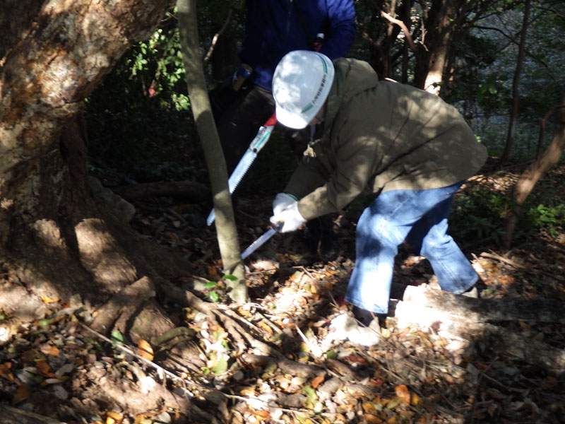 �����̗l�q(�ʐ^)