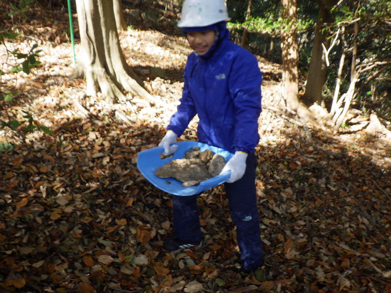 �����̗l�q(�ʐ^)