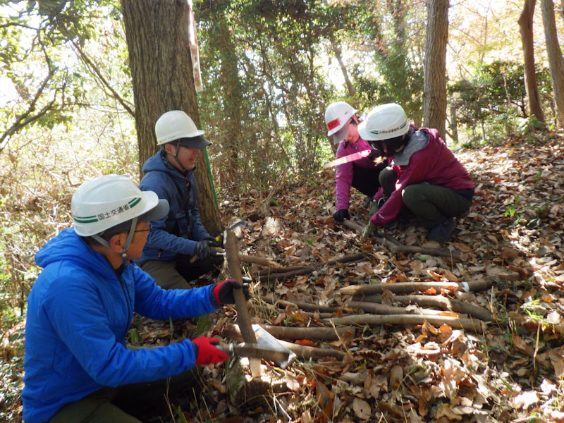 �����̗l�q(�ʐ^)