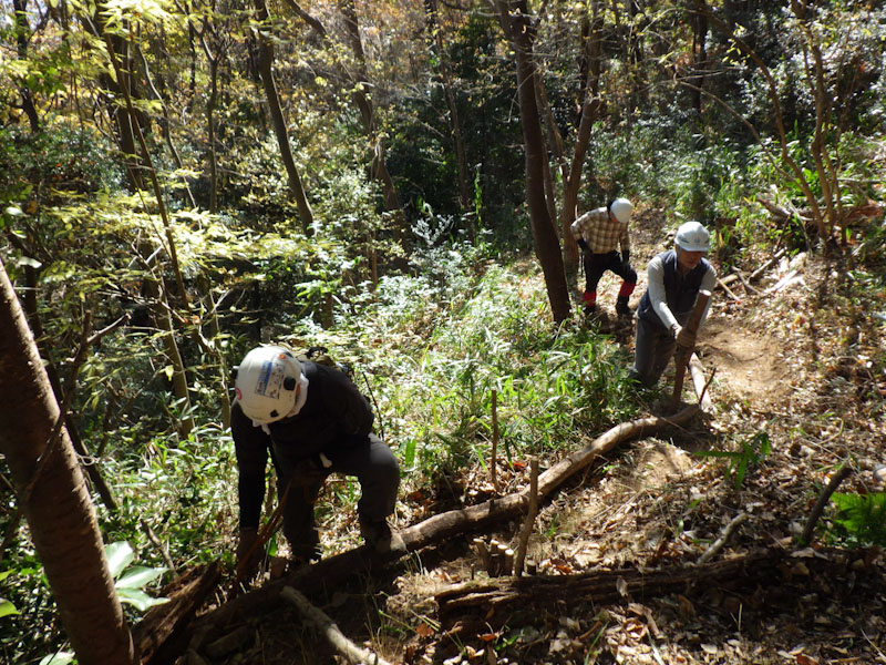 �����̗l�q(�ʐ^)