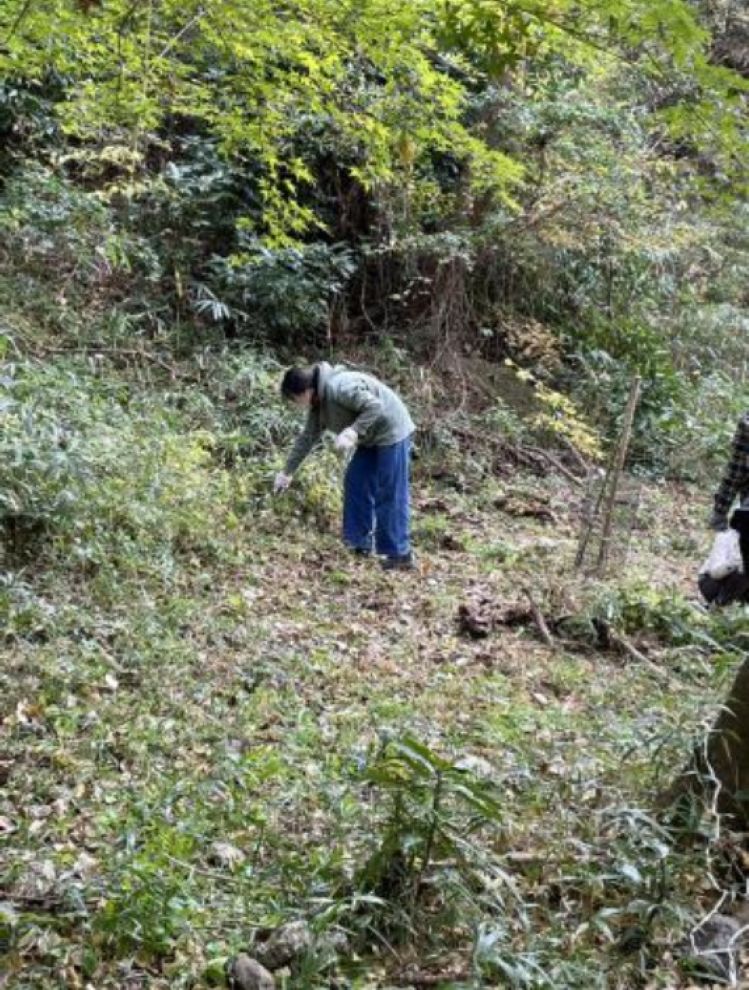 �����̗l�q(�ʐ^)