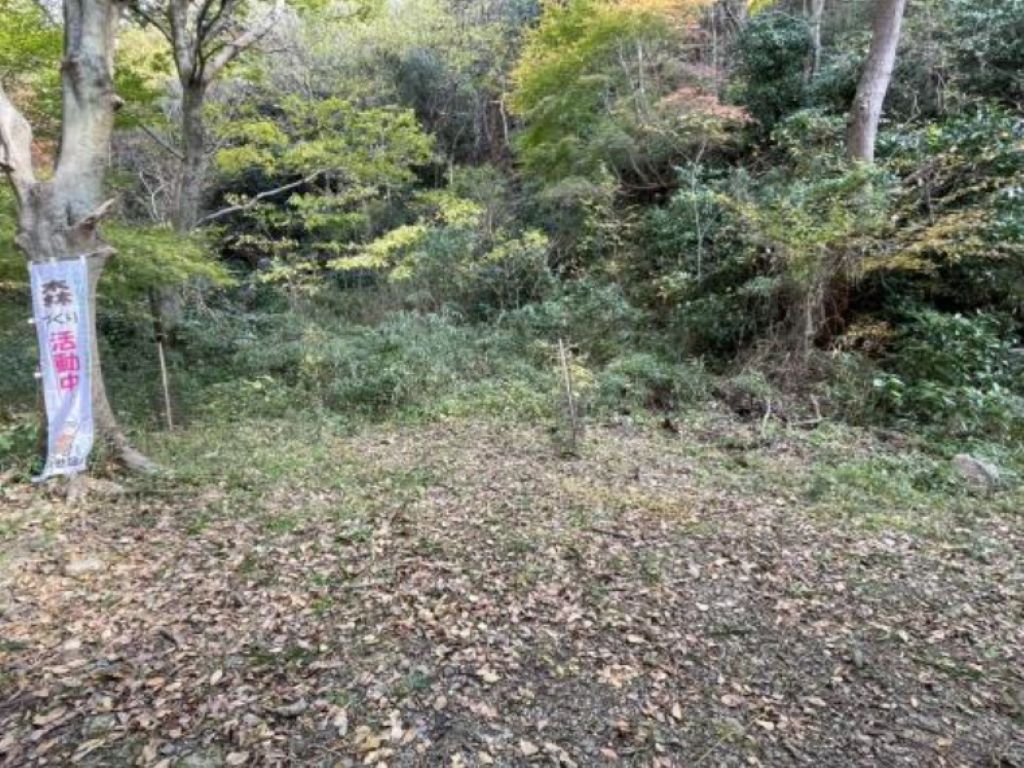 �����̗l�q(�ʐ^)