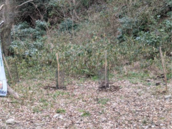 �����̗l�q(�ʐ^)