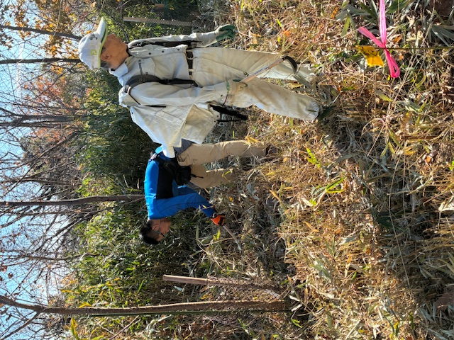 �����̗l�q(�ʐ^)