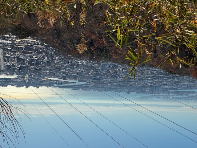 �����̗l�q(�ʐ^)