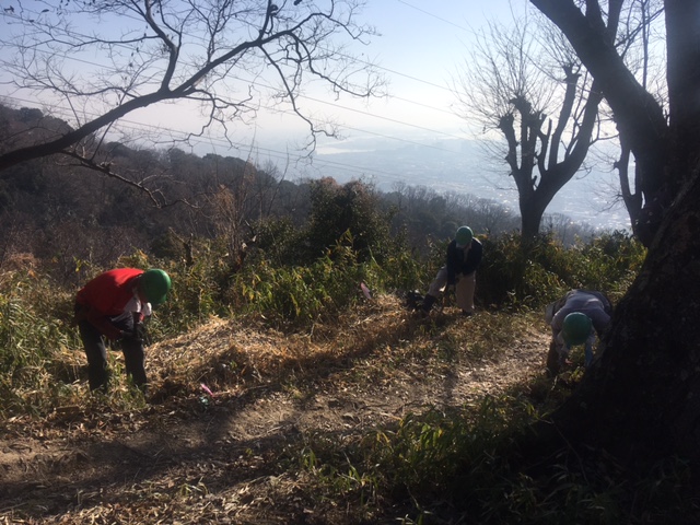 �����̗l�q(�ʐ^)