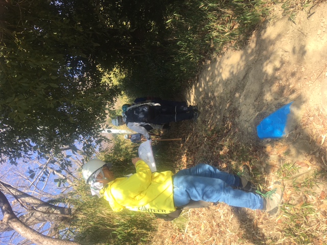 �����̗l�q(�ʐ^)