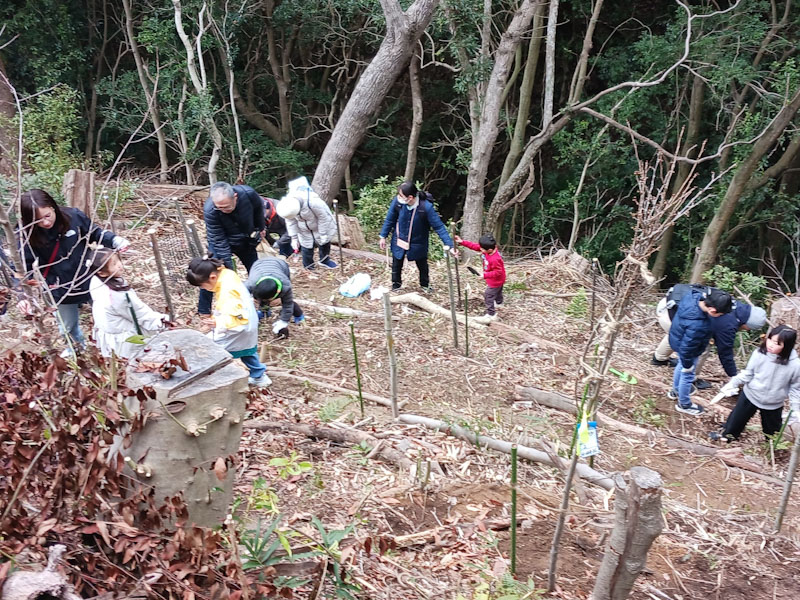 �����̗l�q(�ʐ^)