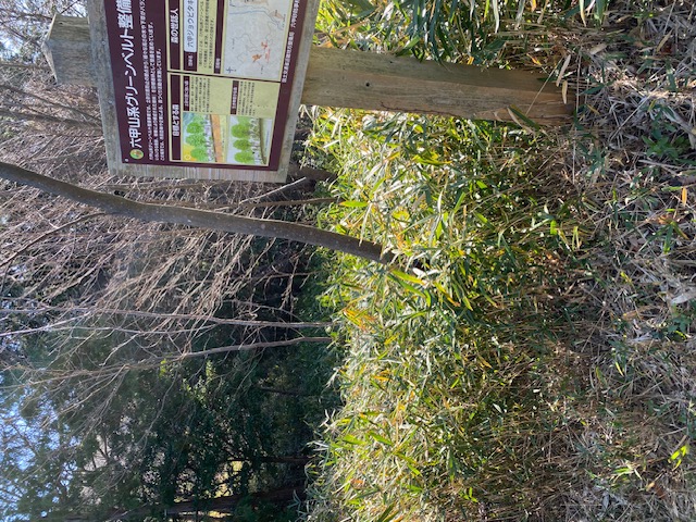 �����̗l�q(�ʐ^)