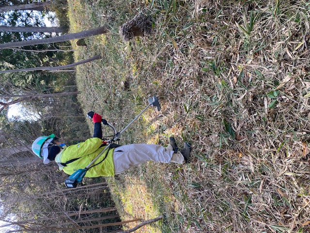 �����̗l�q(�ʐ^)