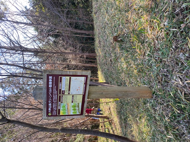 �����̗l�q(�ʐ^)