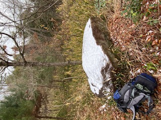 �����̗l�q(�ʐ^)