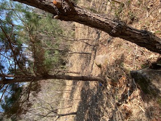 �����̗l�q(�ʐ^)