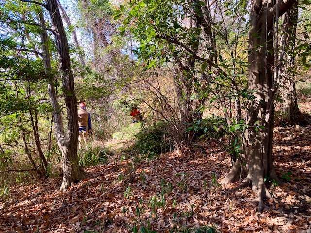 �����̗l�q(�ʐ^)