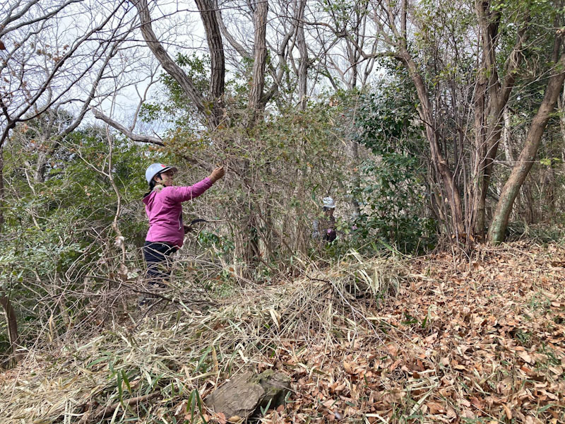 �����̗l�q(�ʐ^)