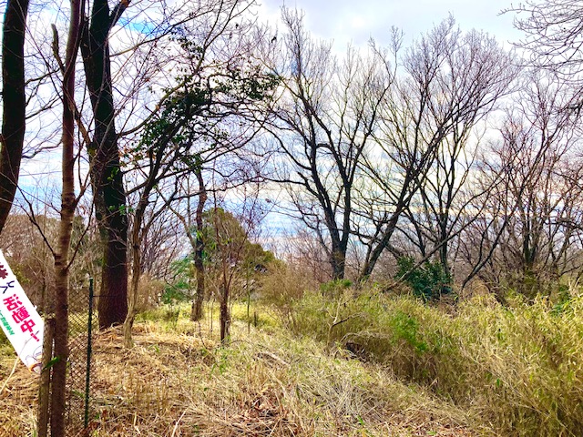 �����̗l�q(�ʐ^)