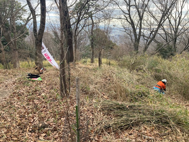 �����̗l�q(�ʐ^)