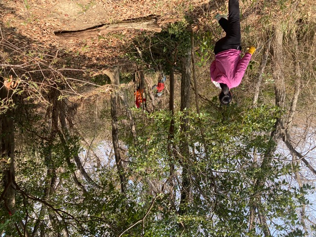 �����̗l�q(�ʐ^)