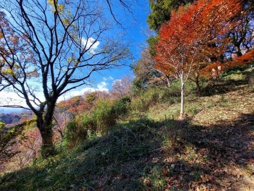 �����̗l�q(�ʐ^)