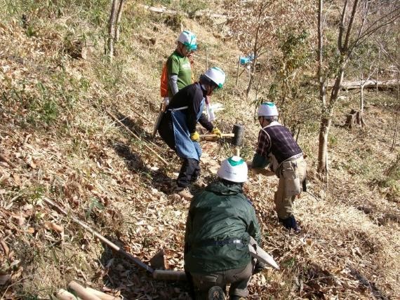 �����̗l�q(�ʐ^)