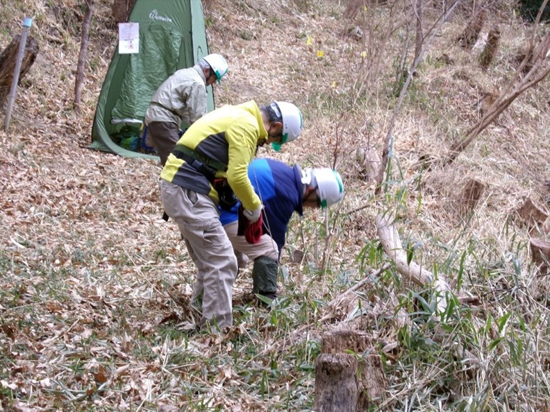 �����̗l�q(�ʐ^)