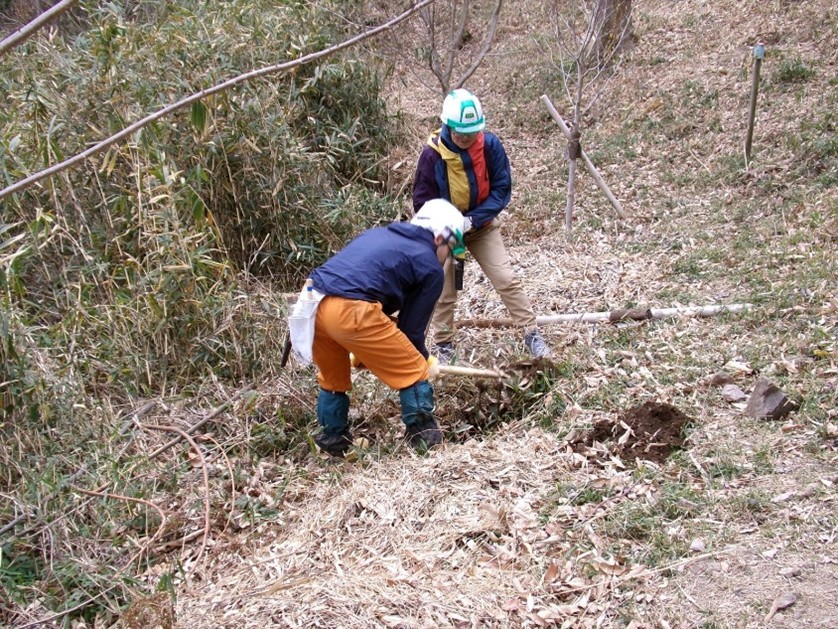 �����̗l�q(�ʐ^)