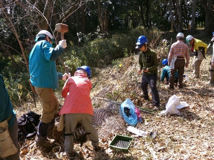 �����̗l�q(�ʐ^)