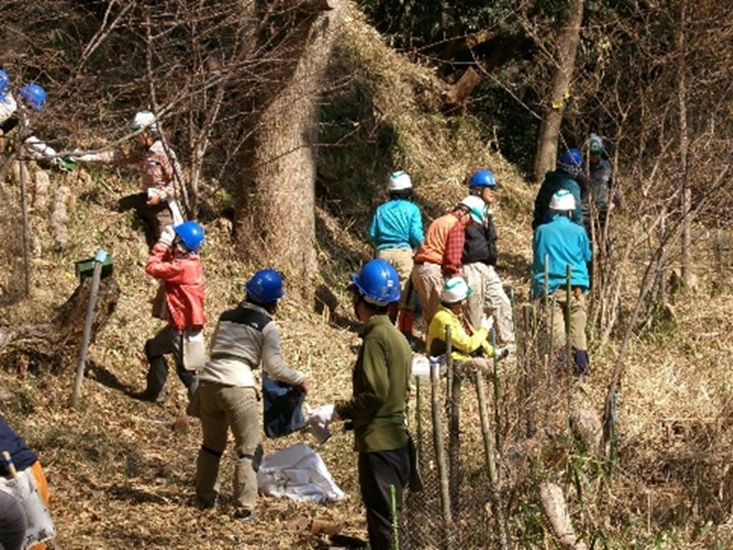 �����̗l�q(�ʐ^)