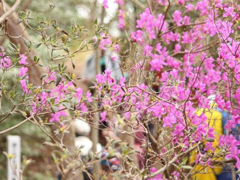 �����̗l�q(�ʐ^)