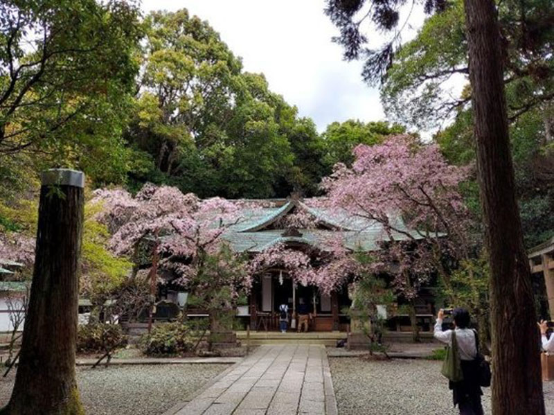 �����̗l�q(�ʐ^)