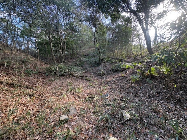 �����̗l�q(�ʐ^)