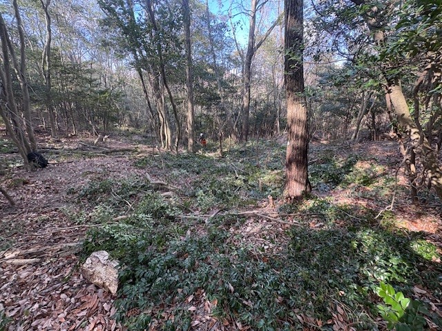 �����̗l�q(�ʐ^)