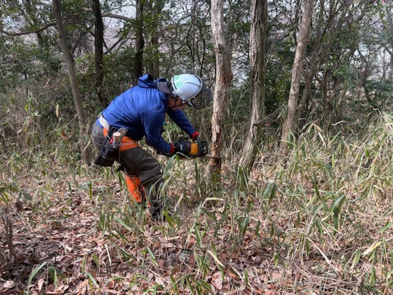 �����̗l�q(�ʐ^)